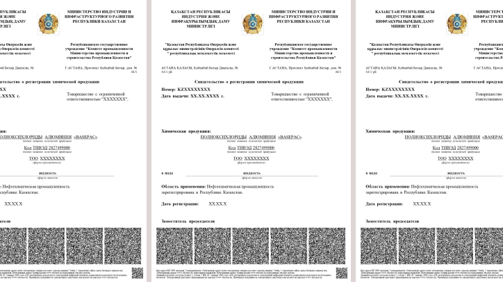 Разработка паспорта безопасности